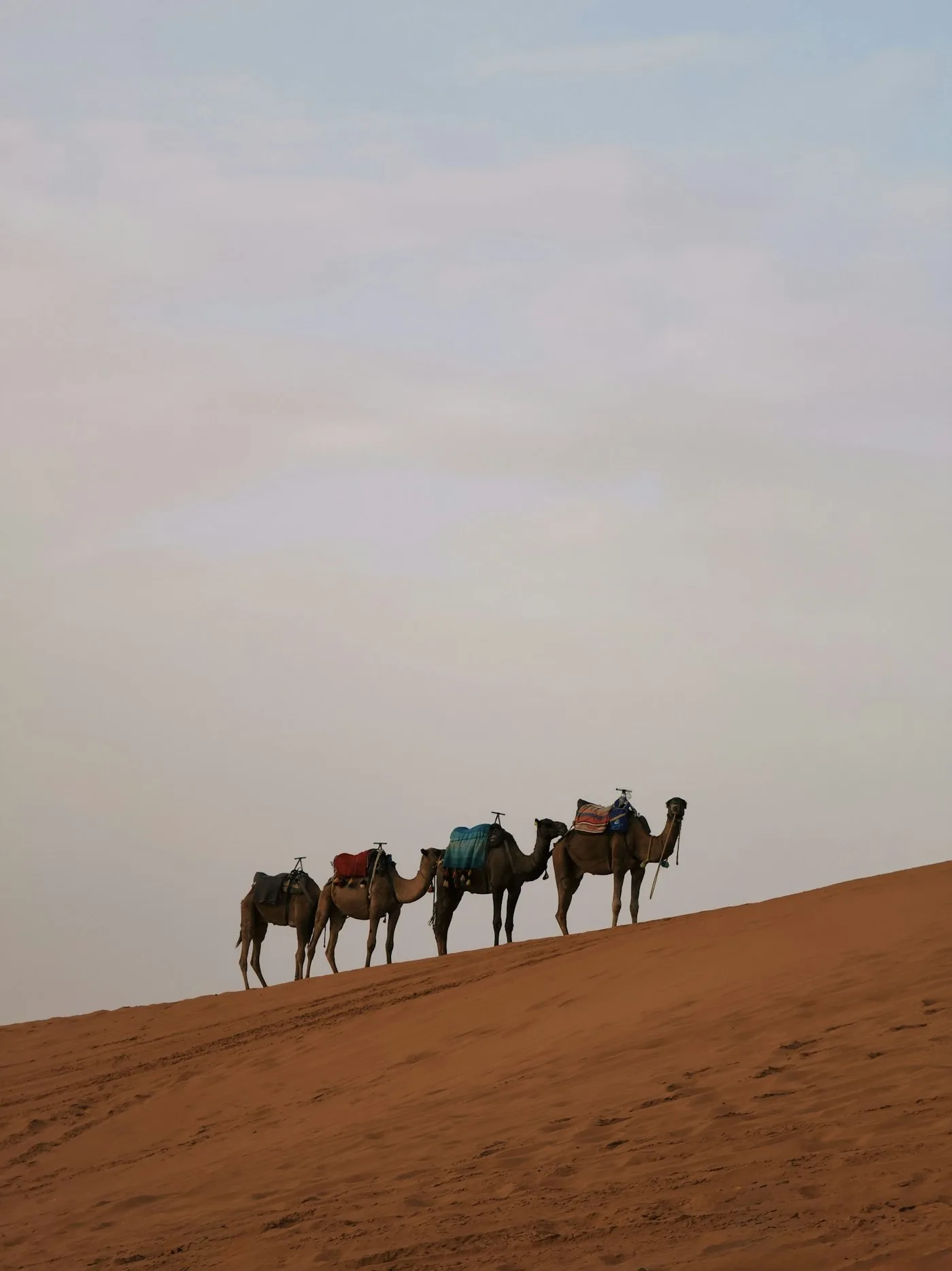 Merzouga