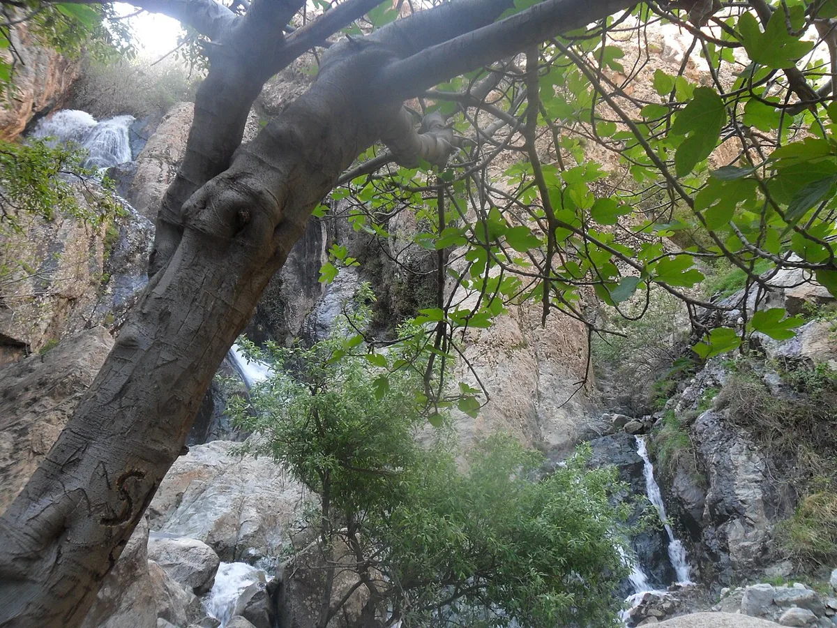 Ourika